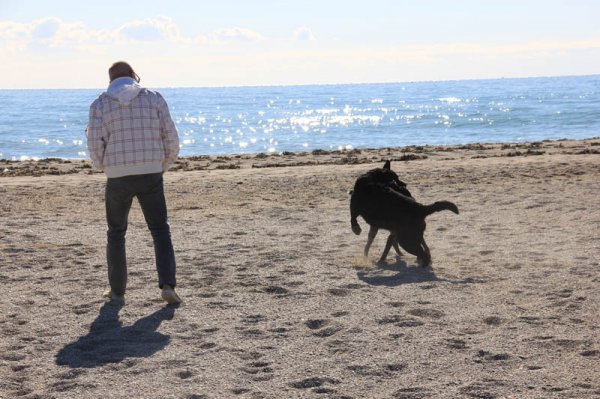 20150206 2 Härligt på stranden.jpg