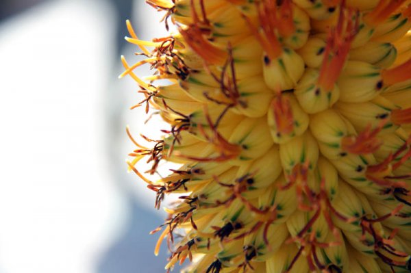 20150206 4 Vackert.jpg