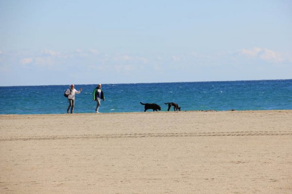 20150206 5 Frihet.jpg