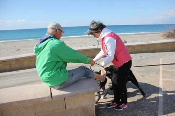 20150207 1 Ond fot.jpg