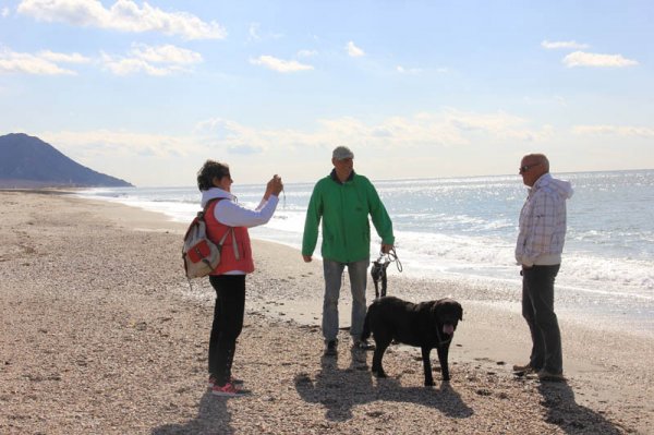 20150207 4 Fotodax.jpg