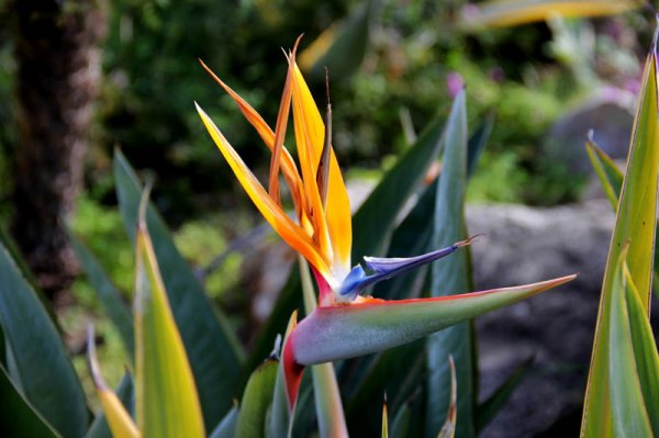 20150208 4 Vackert.jpg