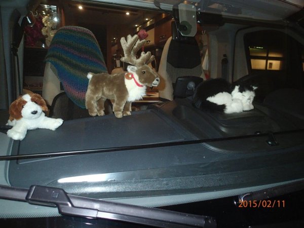 Valpen,Rena och Kisa.jpg