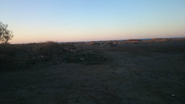 20150209 1 Morgon.jpg