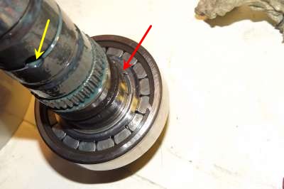 DSCF0266-400.jpg DSCF0266-400.jpg