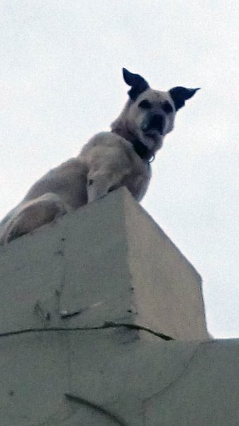 20150214 2 Högt.jpg