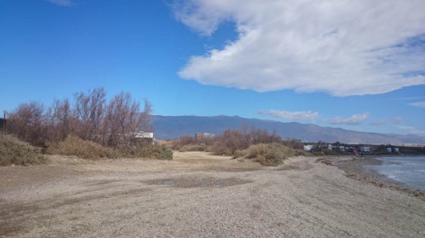 20150215 1 Guardias Viejas.jpg