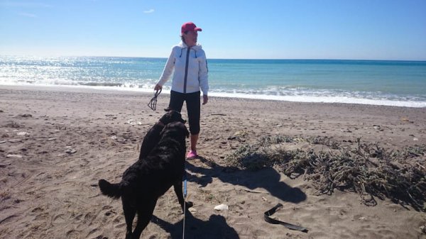 20150216 1 Hundpromenad.jpg