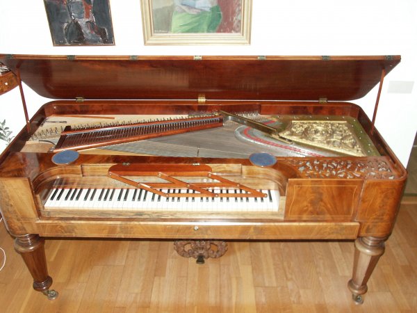 PICT0317.JPG PICT0317.JPG