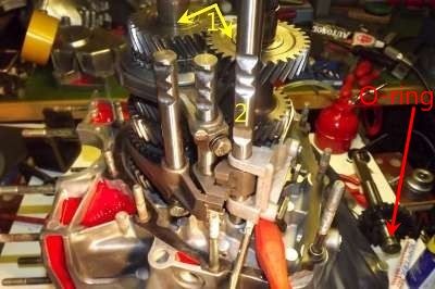 DSCF0449-400.jpg DSCF0449-400.jpg