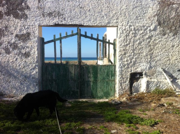 20150222 Port mot havet.jpg