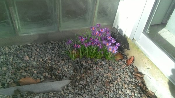 WIN_20150222_124646.JPG WIN_20150222_124646.JPG