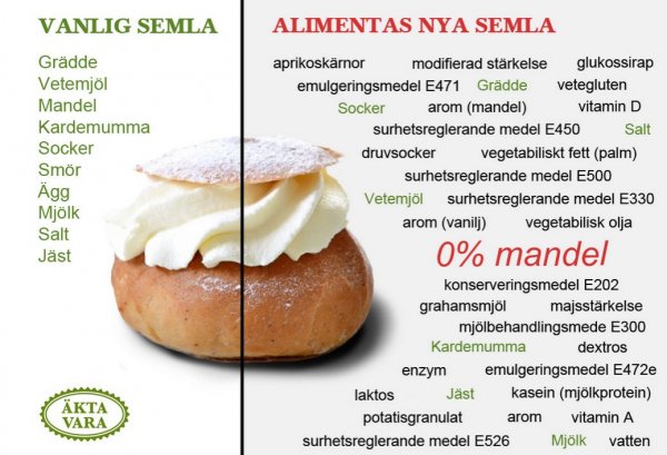 modern semla.JPG