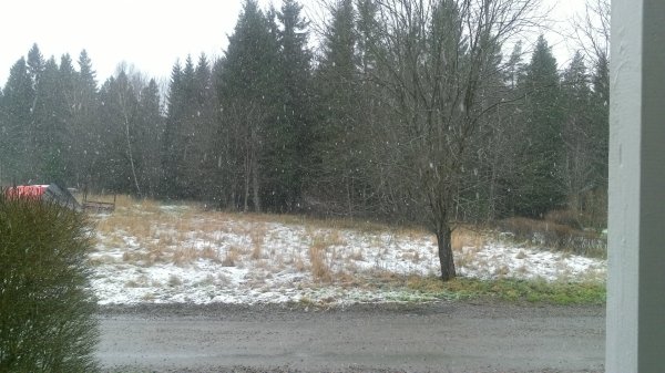 WIN_20150301_112637.JPG WIN_20150301_112637.JPG