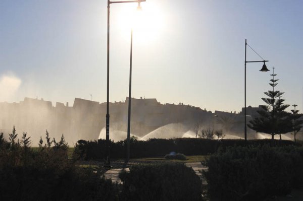 20150306 Bevattning.jpg