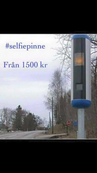 Selfiepinne.jpg
