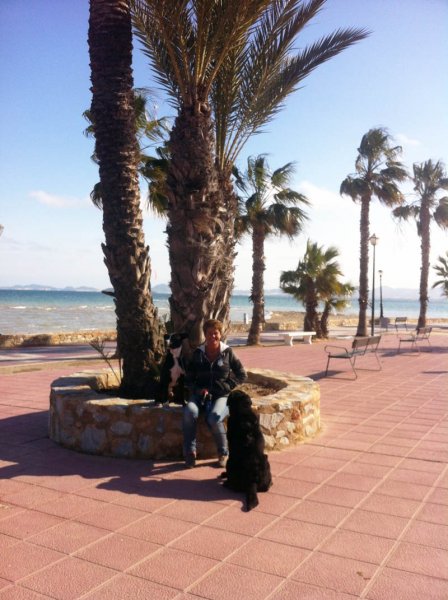 20150314 Strandpromenad med hundar.jpg