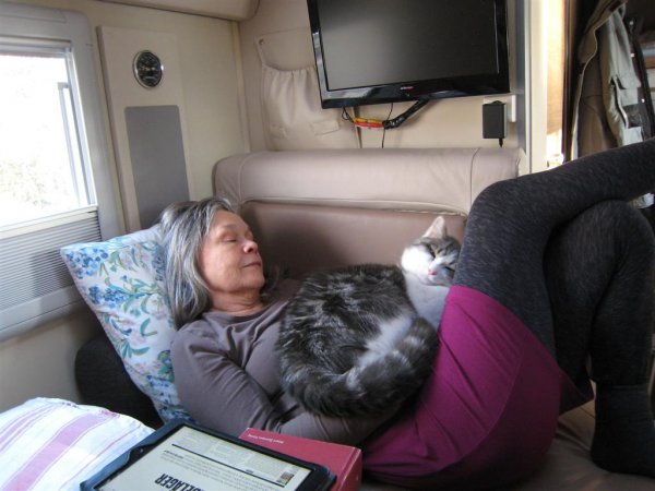 Bild 013 (Large).jpg Bild 013 (Large).jpg