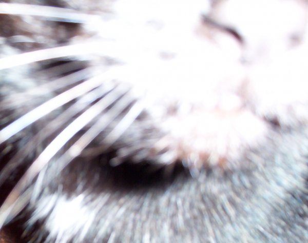 090122 002_edited.jpg