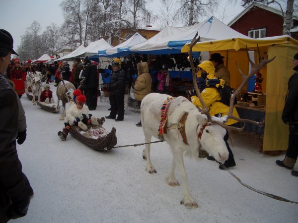 Jokkmokk  2008 043 C.jpg