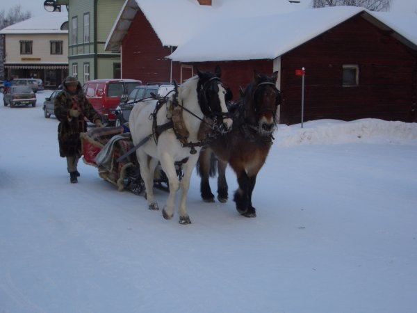 Jokkmokk  2008 060 M.jpg