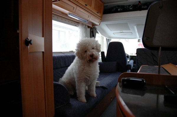 PROBLEM VARMTVANN  (15).jpg