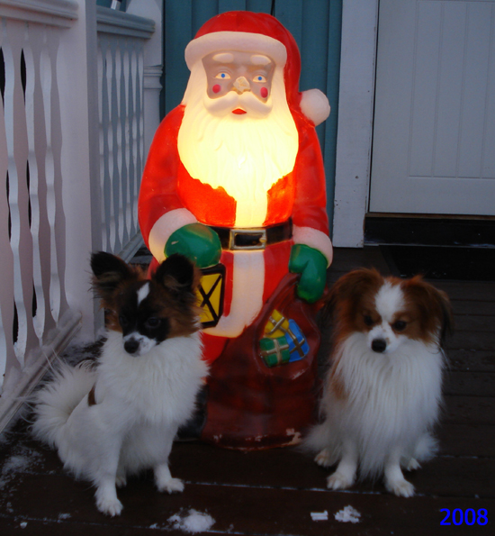 2  Molle & Milo med tomten på bron  16 dec -08.JPG