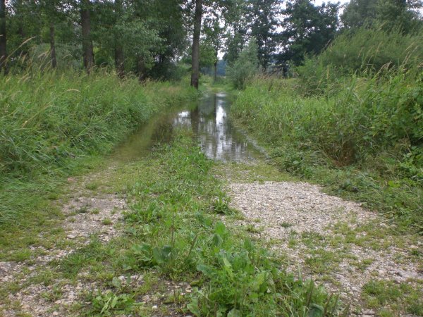 080717 Staubing - Eining CIMG0320.JPG 080717 Staubing - Eining CIMG0320.JPG