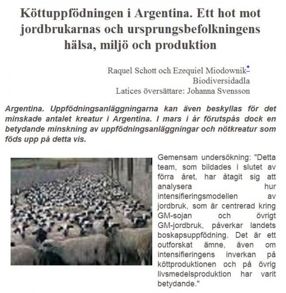 arg.JPG arg.JPG
