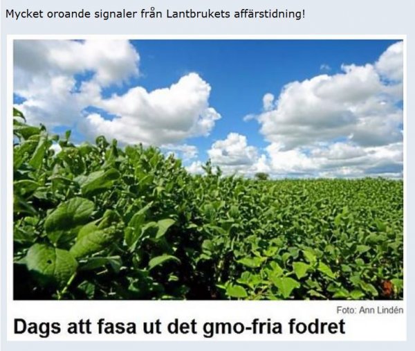 dags.JPG