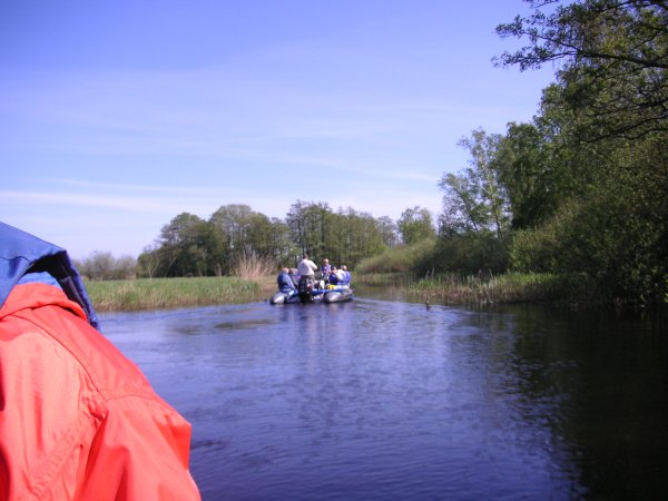 Carthago i Åhus 2007 023.jpg