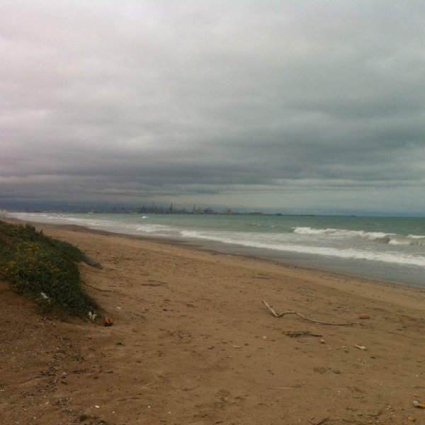 20150322 Stranden El Saler.jpg