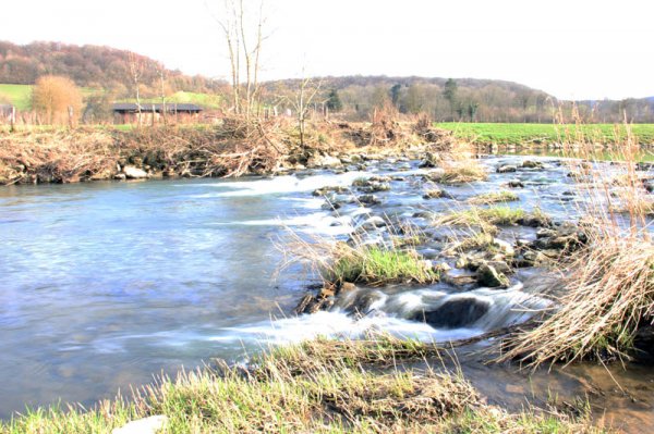 20150327 Fall i Mouse.jpg