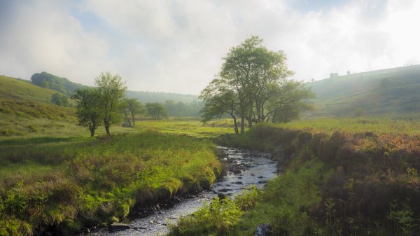 20140607-037.jpg 20140607-037.jpg