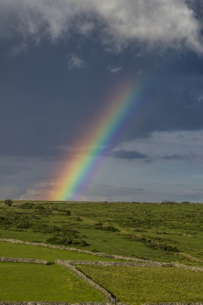 20140628-078.jpg 20140628-078.jpg