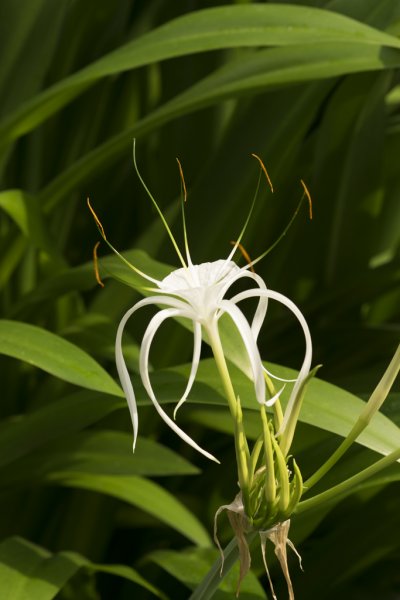 20140625-115.jpg 20140625-115.jpg