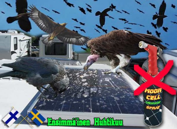nej.jpg nej.jpg