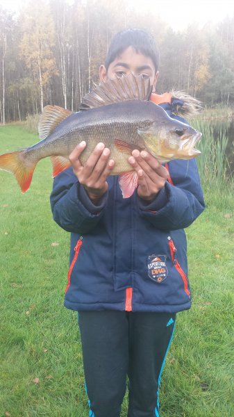 Telefonen 20141012 045.jpg