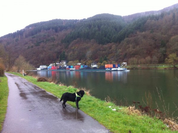 20150330 Mosel och en pråm o Ozzie.jpg