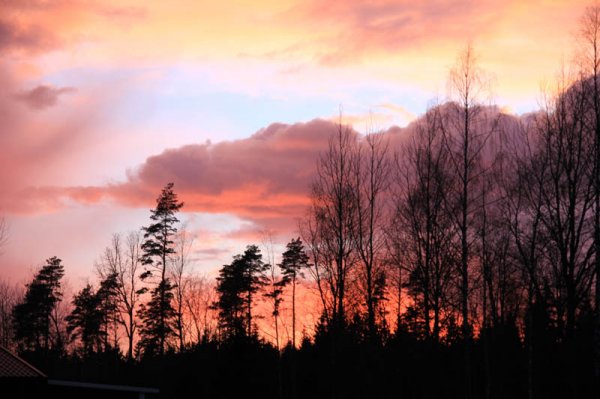 20150401 Solnedgång.jpg