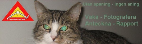 Vakande öga i Tyringe.JPG