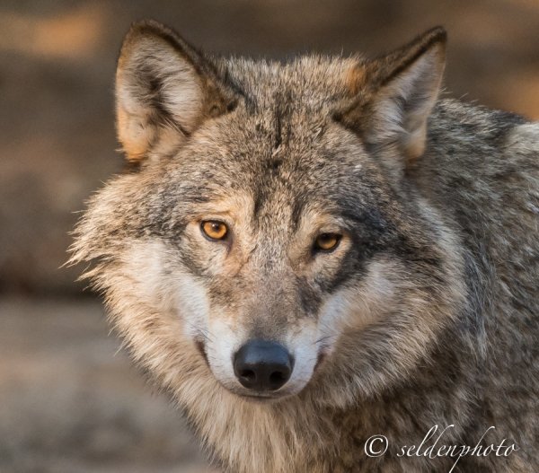 140329.045.jpg 140329.045.jpg