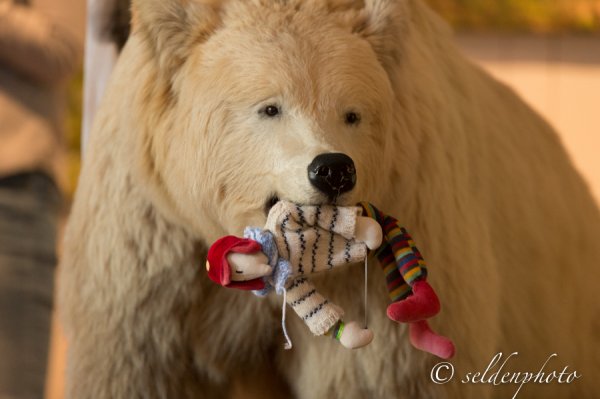 140329.129.jpg 140329.129.jpg