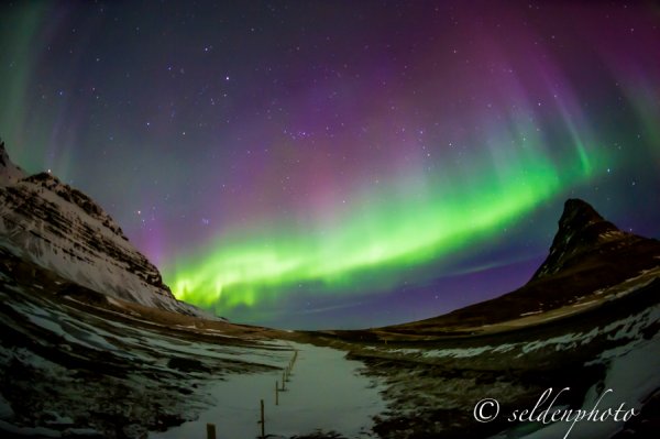 TL 150318-1168.jpg TL 150318-1168.jpg