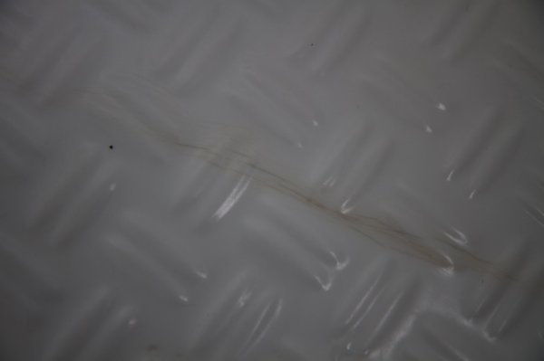 IMG_5693.jpg IMG_5693.jpg