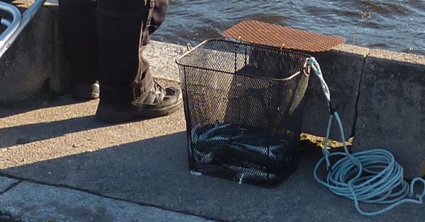 P1100999B.jpg