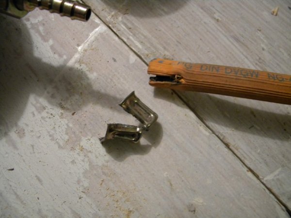 DSCN8503_.JPG DSCN8503_.JPG