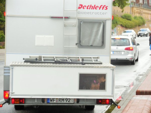 2015-05-30 12.57.49.jpg