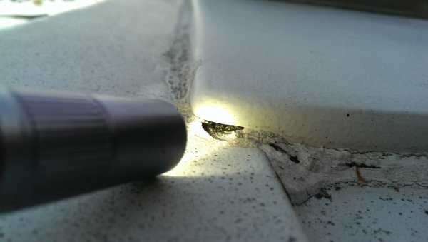 IMAG5706.jpg