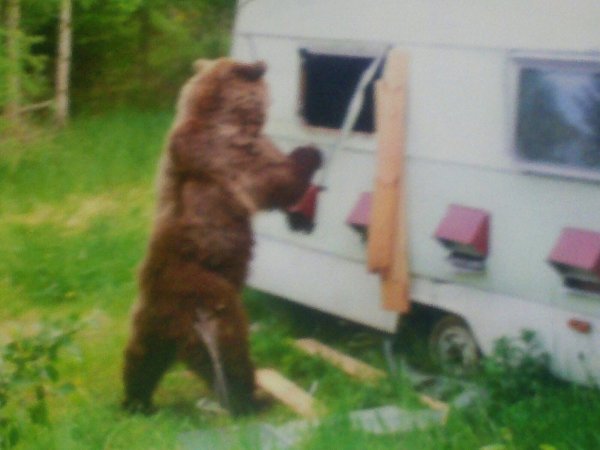 20150623.jpg